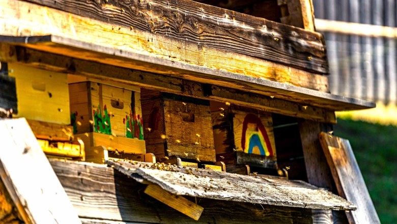 Hof eigener Honig und Bl&uuml;ten Best&auml;ubung, &copy; Einkehrhof Poggau