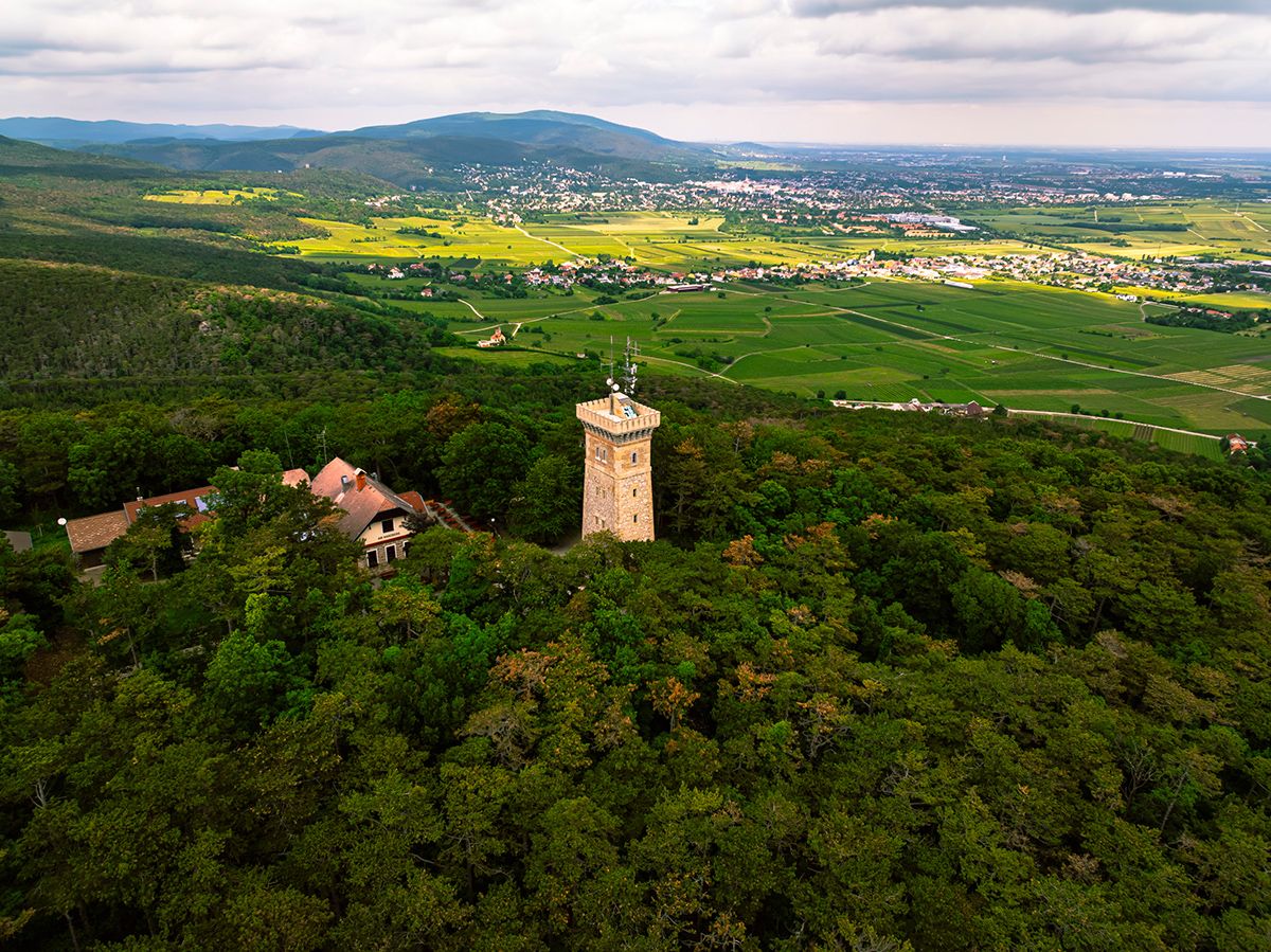 Harzbergturm