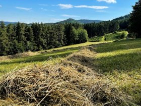 Entlang der Etappe 5, &copy; Wachau Inside