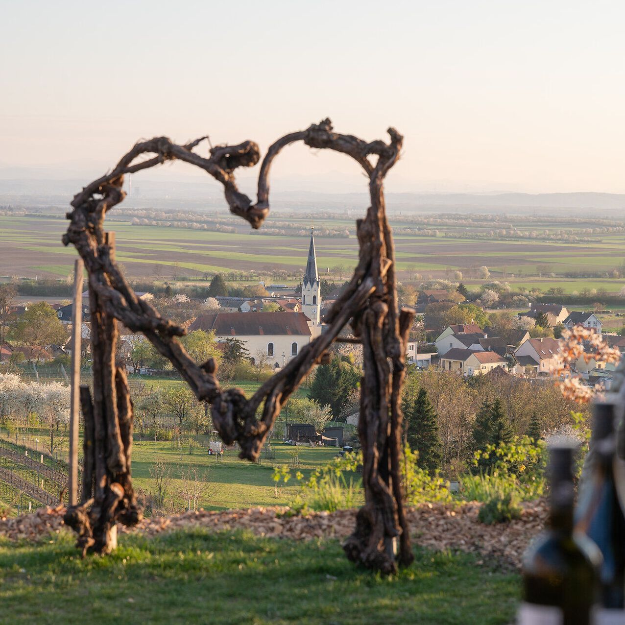 Ausblick durch ein Herz aus Rebholz auf Niederrußbach.