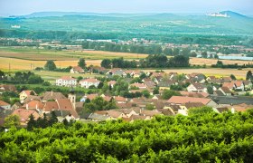 Ortsansicht von Gedersdorf, &copy; Weinstrasse Kremstal, Rita Newman