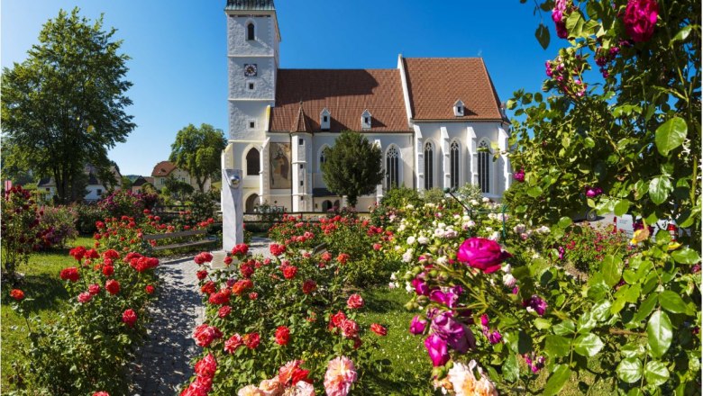 Wehrkirche in Kirchschlag mit bl&uuml;hendem Rosengarten im Vordergrund.