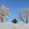 Strahlend blauer Himmel im Winter, &copy; Gottfried & Rosina Wagner