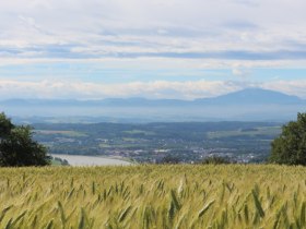 Kneippweg, &copy; Gemeindehofamt Priel