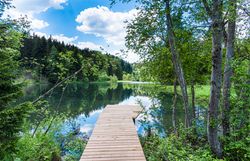 Luftaufnahme eines modernen Hauses mit begrüntem Dach, umgeben von Wald und einem See.