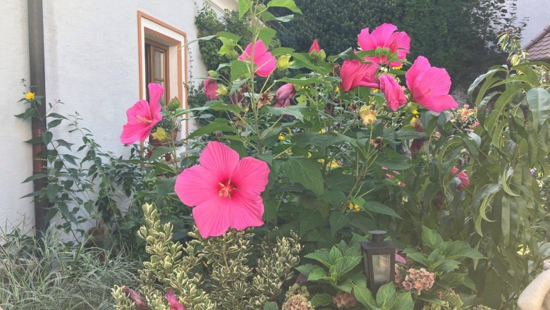 garten-am-renaissancehof-kerschner, &copy; Mostviertel Tourismus, Eva Stern