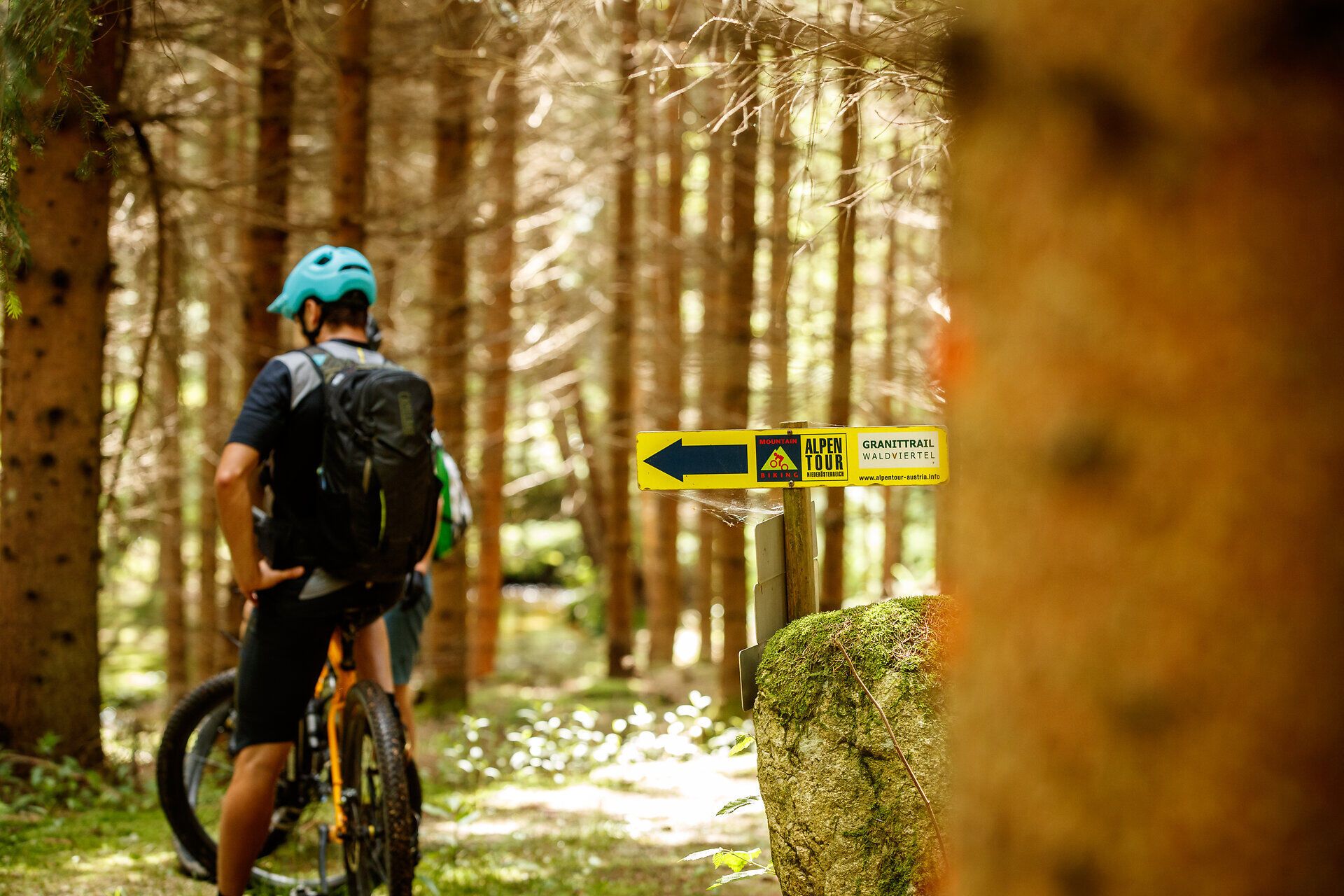 Ein Radfahrer genießt die Ruhe des Waldes, während er auf dem Granittrail unterwegs ist. Die sanften Lichtstrahlen, die durch die Bäume fallen, schaffen eine magische Atmosphäre, die zum Verweilen einlädt. Die klare Beschilderung weist den Weg zu neuen Abenteuern in der Natur.