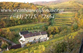 Weinberge mit einem Geb&auml;ude im Vordergrund, umgeben von herbstlicher Landschaft.