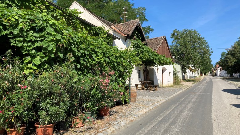 Eine ruhige Stra&szlig;e mit traditionellen H&auml;usern, umgeben von &uuml;ppigem Gr&uuml;n und bl&uuml;henden Pflanzen.