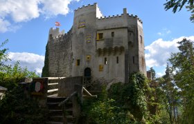 Burg Grimmenstein mit Brücke, Zinnen und blau-gelb gestrichenen Fensterläden im Grünen.