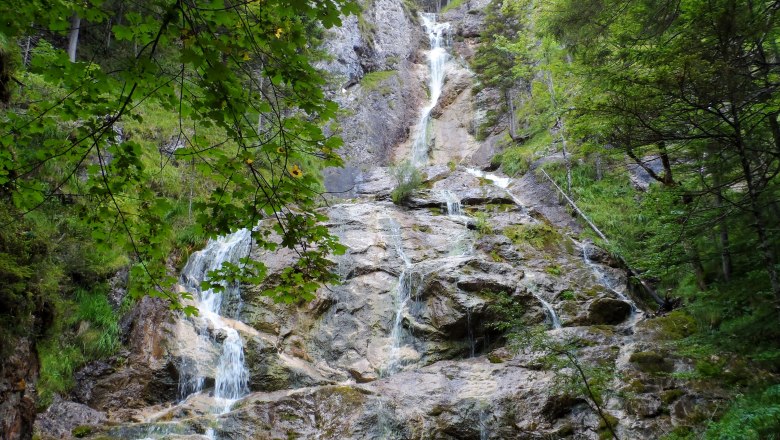Ein Wasserfall fließt über Felsen in einem bewaldeten Gebiet.