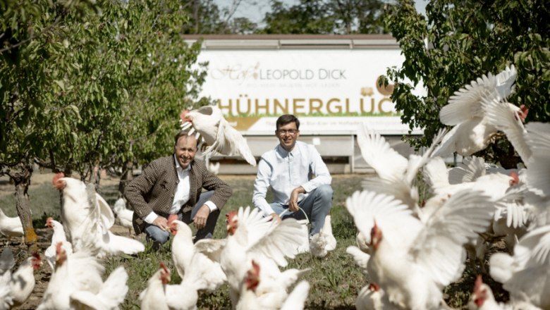 Freilandh&uuml;hner, &copy; Astrid Bartl