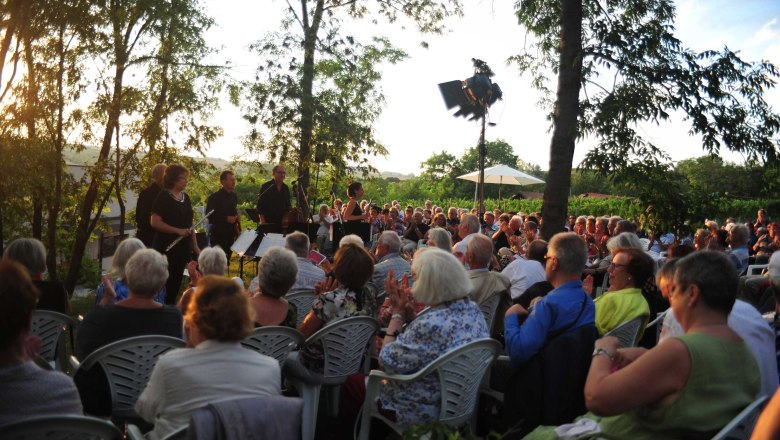 Pleyel Museum, Konzert, &copy; IPG