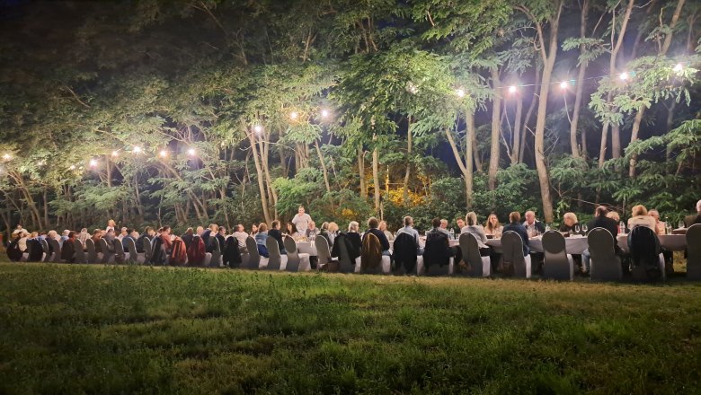 Menschen sitzen an einem langen Tisch im Freien unter Lichterketten, umgeben von B&auml;umen.