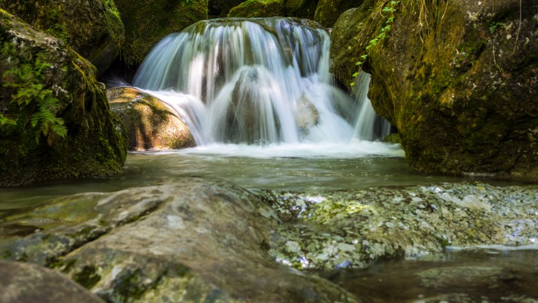 Ein kleiner Wasserfall flie&szlig;t &uuml;ber moosbedeckte Felsen in einem Waldgebiet.