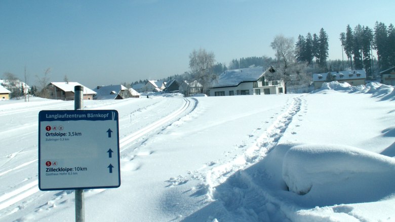 Winterlandschaft mit Langlaufloipe und Wegweiser in B&auml;rnkopf.