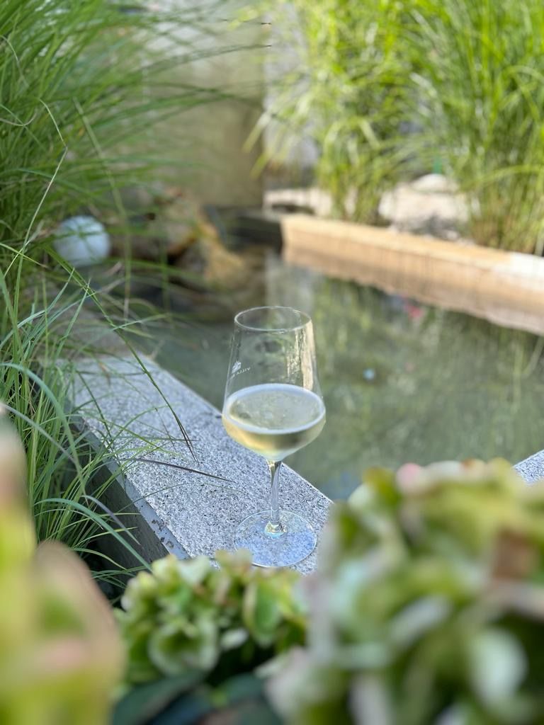 Ein Weinglas steht auf einem Steinrand neben einem Teich im Garten, umgeben von grünen Pflanzen.