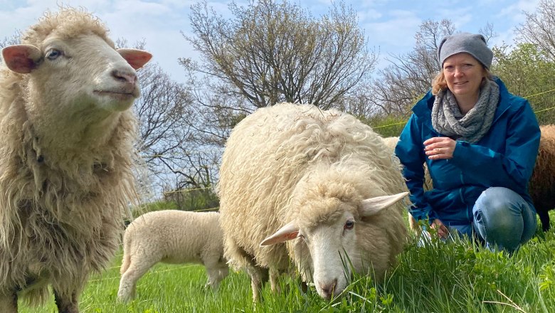 Schaf Erlebnis Guntramsdorf Nieder&ouml;sterreich N&auml;he Wien, &copy; (c) Karina P&ouml;schl