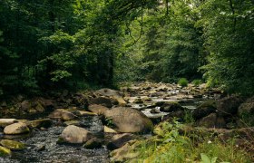 Flusslandschaft eingebettet in den Wald mit vielen Steinen