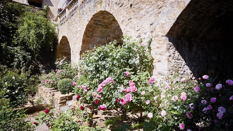 Rosen im Garten der Rosenburg vor einer Steinmauer mit B&ouml;gen.