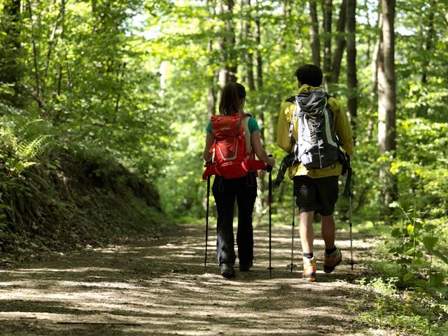Wandern in der Buckligen Welt