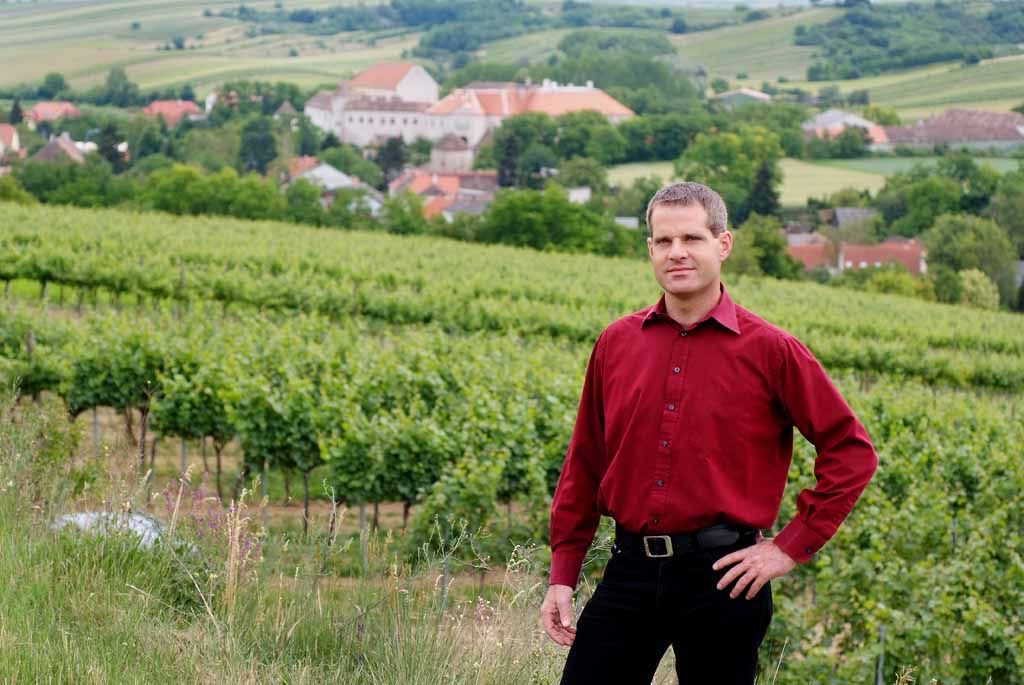 Person in rotem Hemd steht vor Weinbergen mit Dorf im Hintergrund.