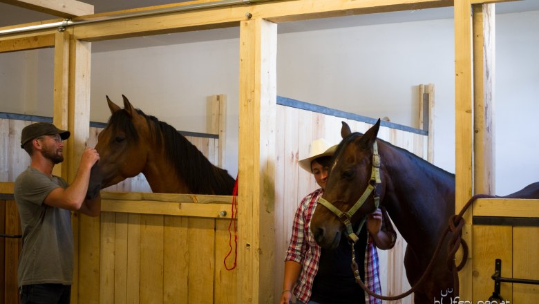 Gastboxen, &copy; Els-kwatawa Ranch