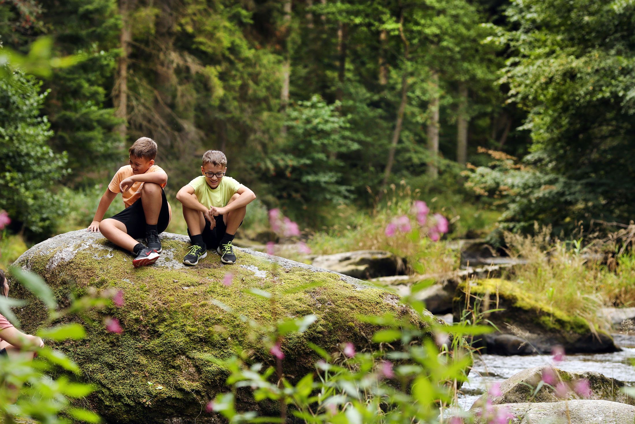 Zwei Jungen sitzen auf einem moosbedeckten Felsen in einem Wald.