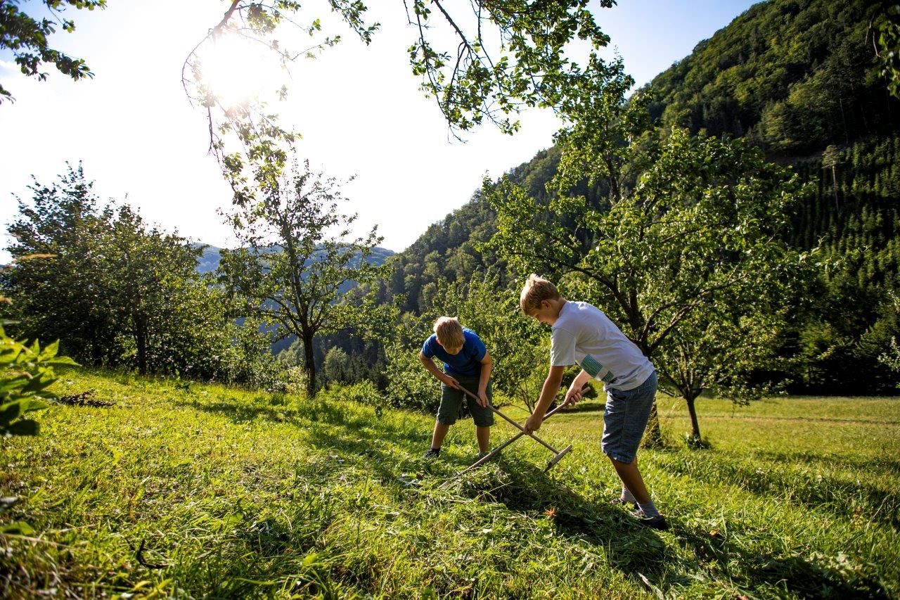 Urlaub am Zwergerlhof