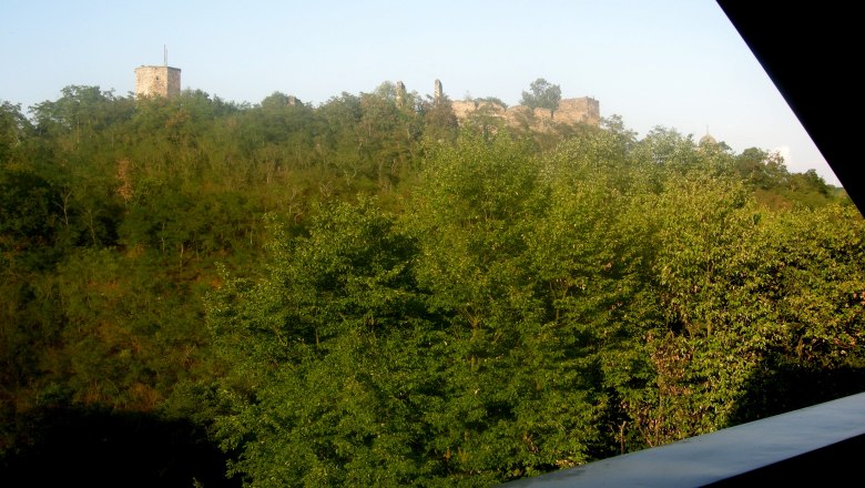 Aussicht Burgruine Gars, © Gruber Blick auf die Burgruine Gars hinter Bäumen bei Sonnenuntergang.