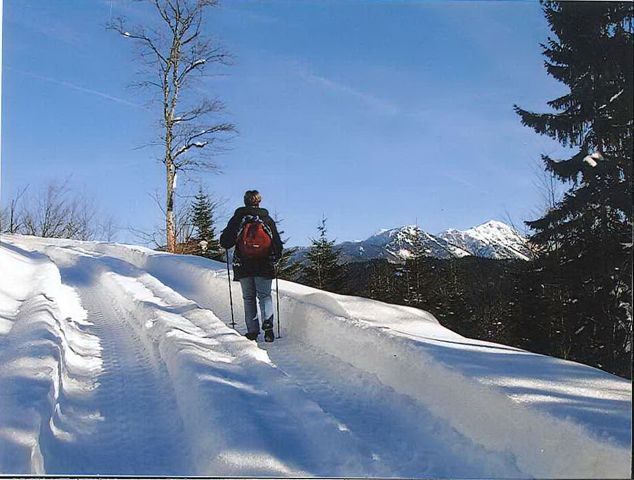Winterwanderung auf die Hütte