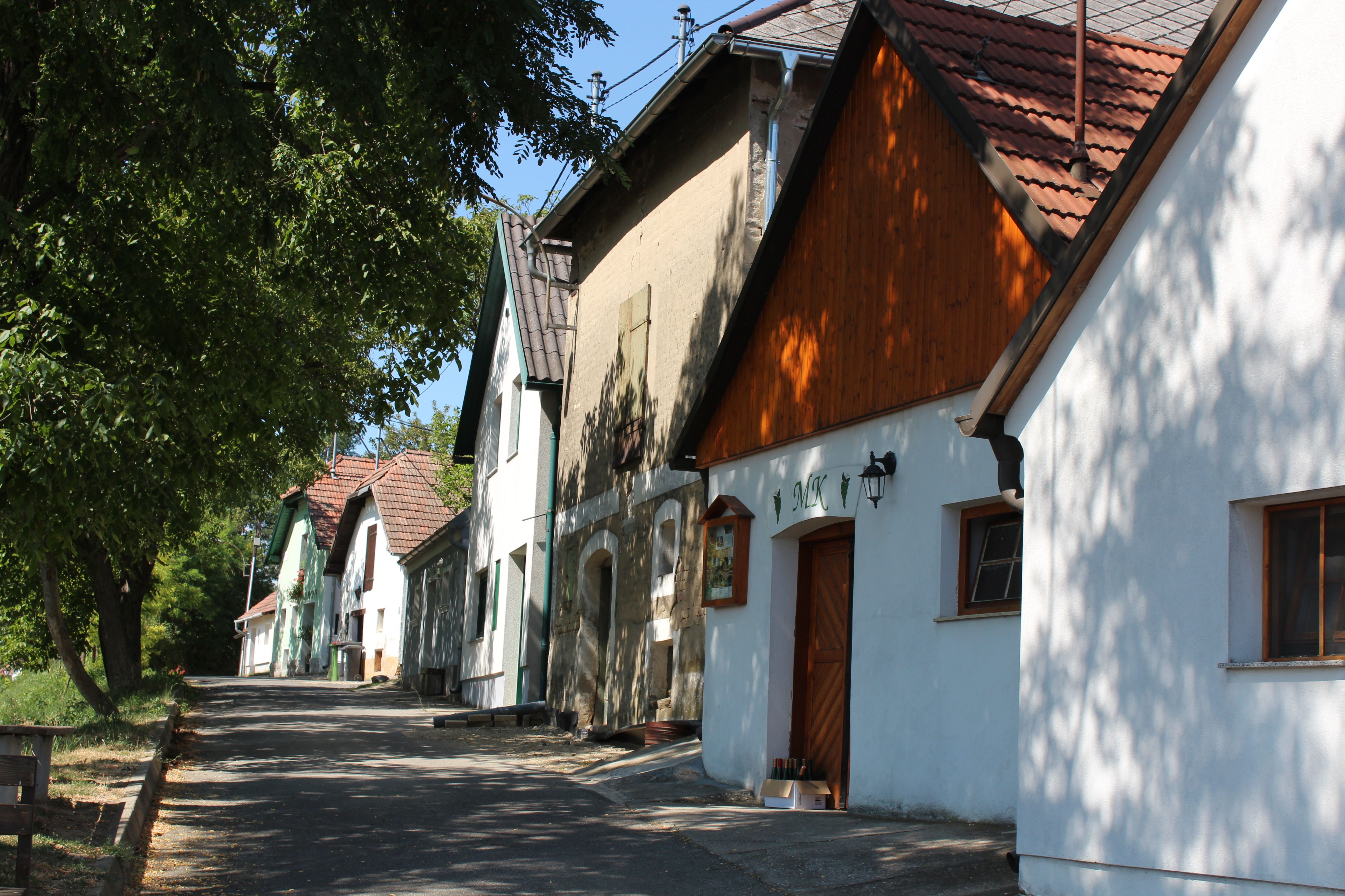 Eine malerische Kellergasse mit traditionellen Weinkellern in Jedenspeigen, umgeben von Bäumen und sonnigem Wetter.