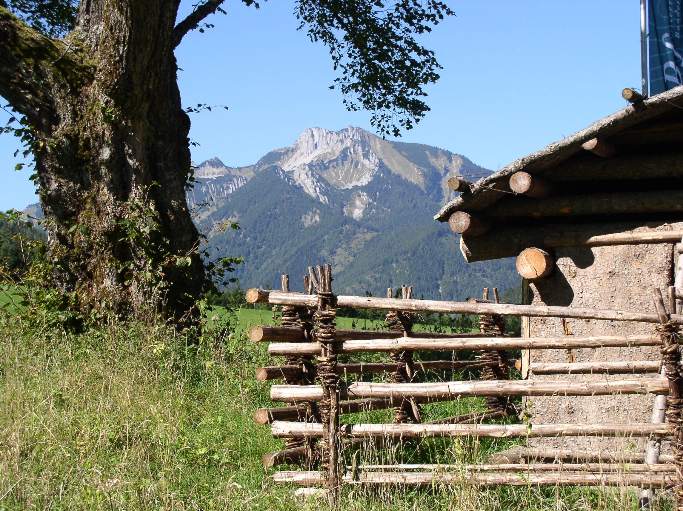 Berglandschaft mit Holzzaun und Baum im Vordergrund.