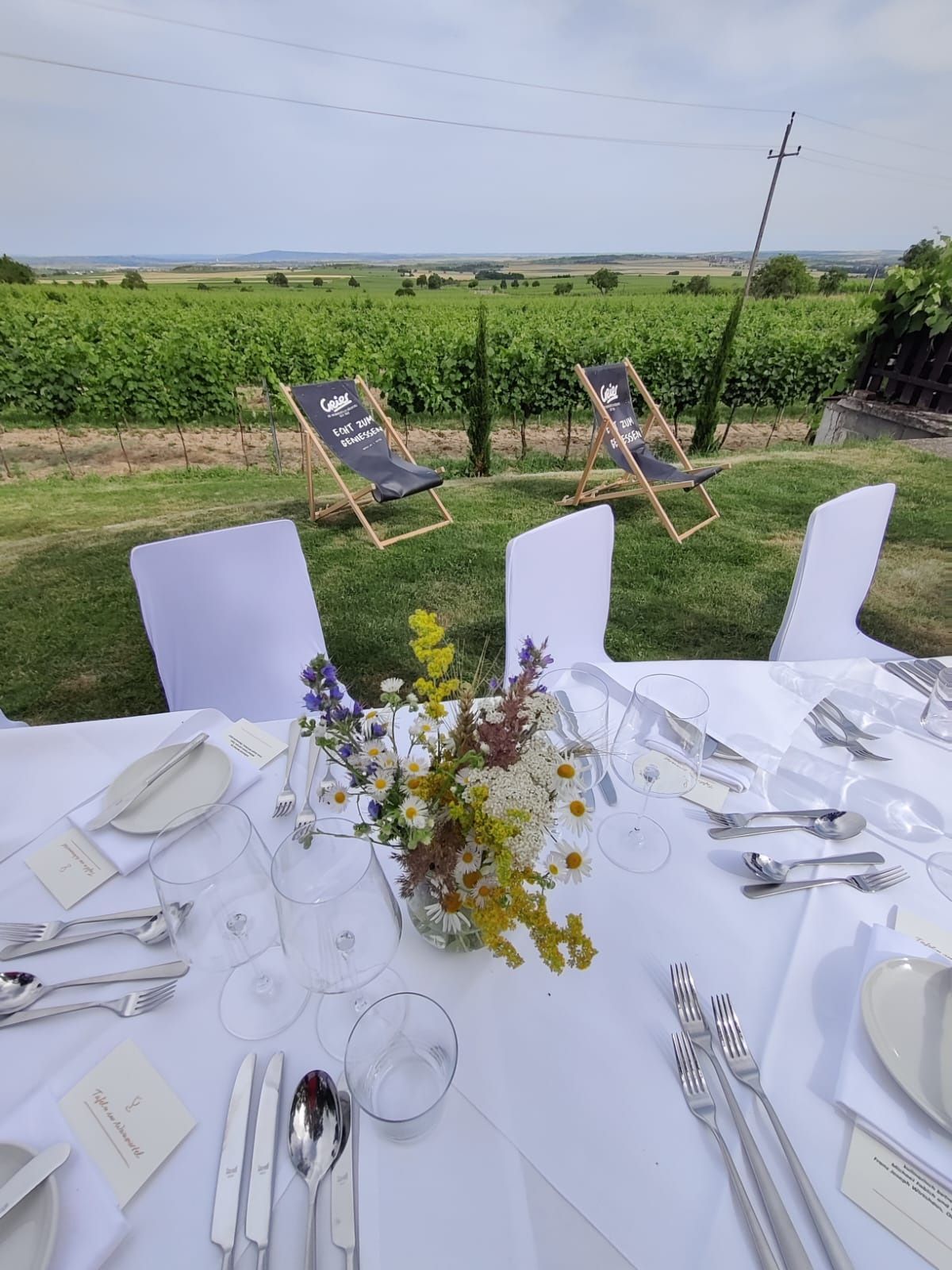 Gedeckter Tisch mit Blumenstrauß vor Weinberg und Liegestühlen.