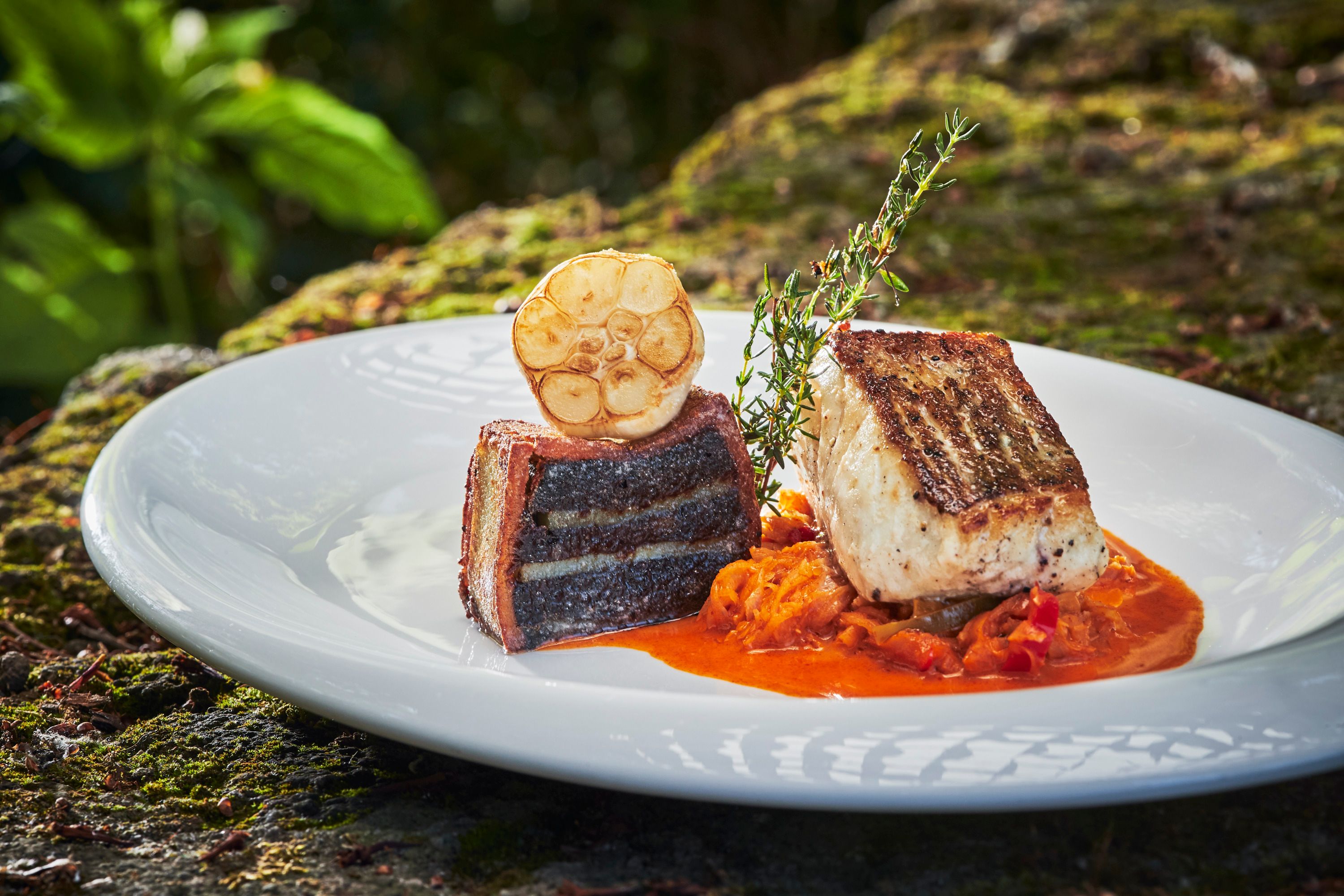 Zanderfilet auf pikantem Kraut mit Bluzenterrine und Knoblauch auf einem weißen Teller.
