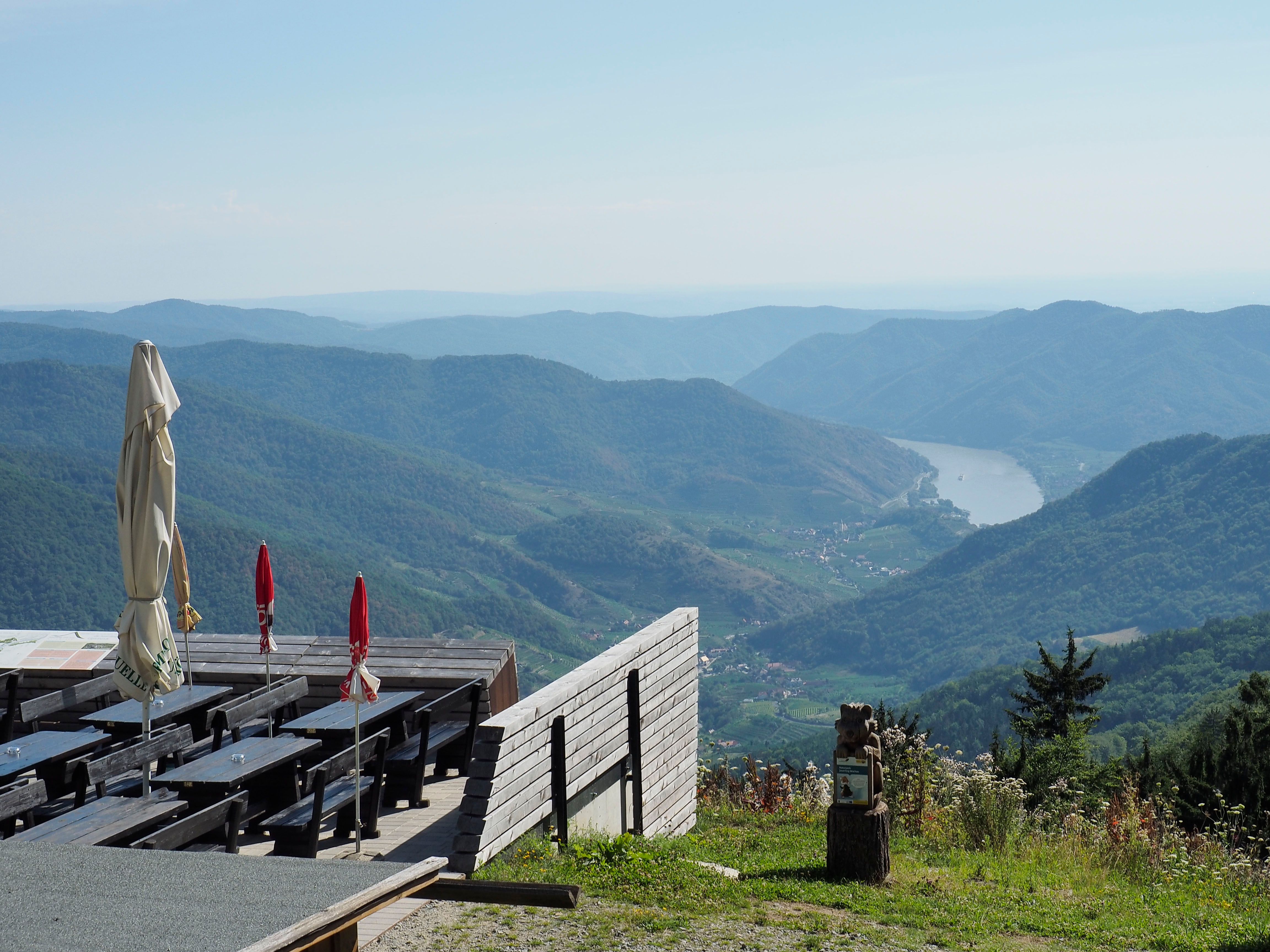 Aussichtsterrasse am Jauerling mit Blick auf die Donau und bewaldete Hügel.