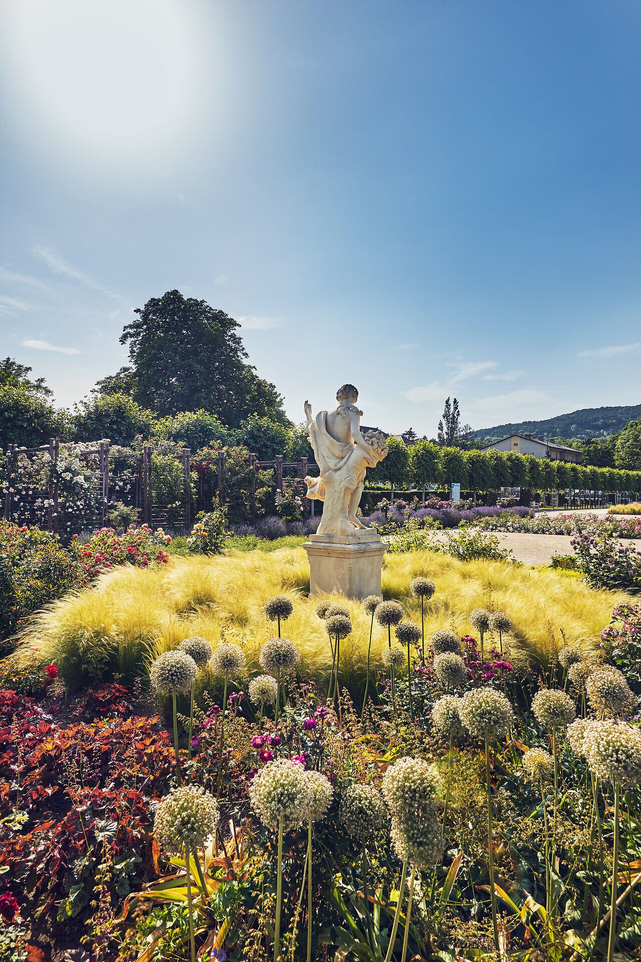 Inmitten eines blühenden Rosengartens strahlt eine elegante Statue in der warmen Sommersonne. Die bunten Blumenbeete umrahmen den Platz und schaffen eine harmonische Atmosphäre, die zum Verweilen einlädt. Hier, wo die Natur in voller Pracht erblüht, können Besucher die Schönheit des Sommers in vollen Zügen genießen.