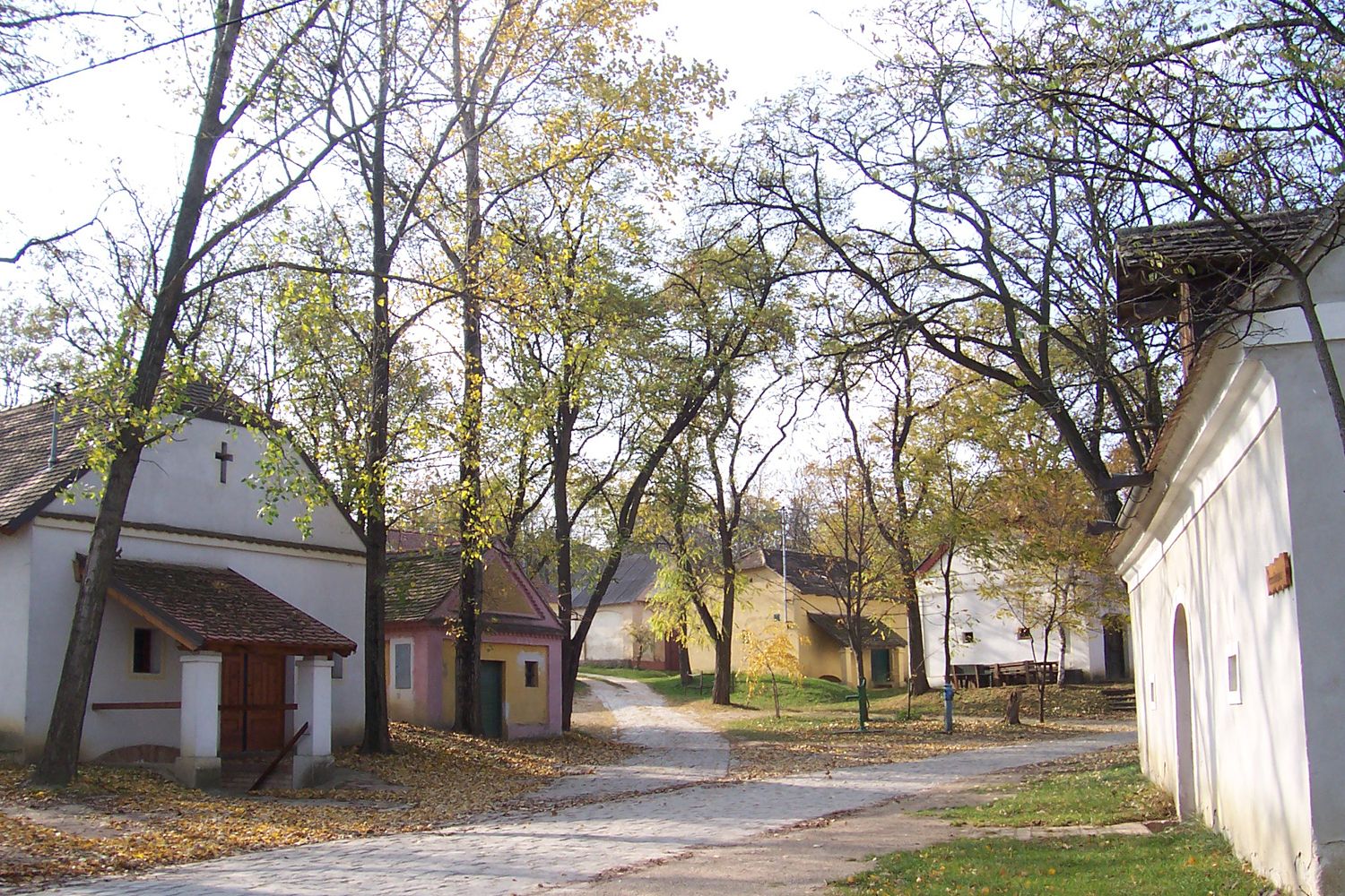 Eine malerische Kellergasse mit kleinen, traditionellen Gebäuden und Bäumen im Herbst.