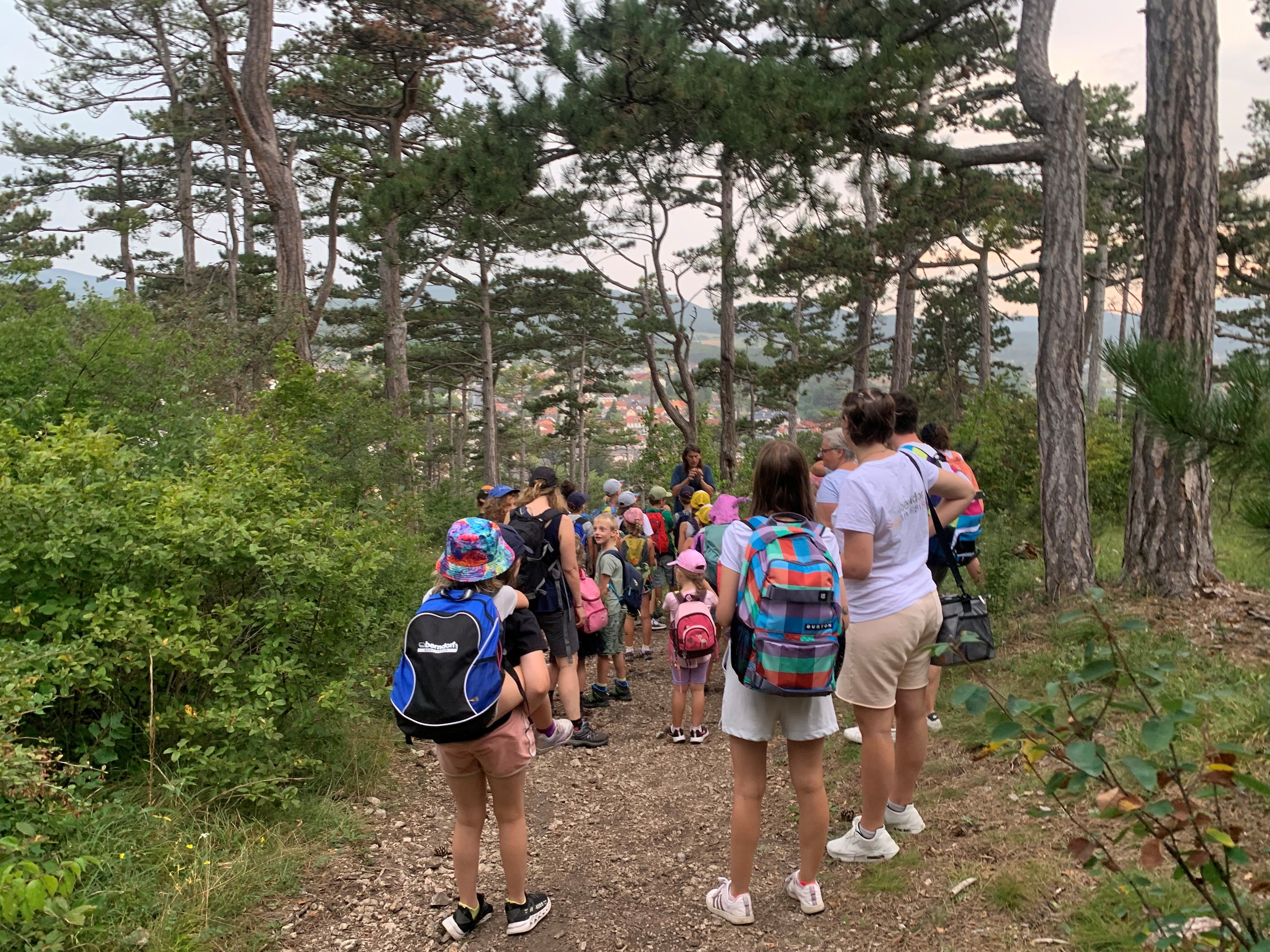 Eine Gruppe von Kindern und Erwachsenen wandert auf einem Waldweg bergab.