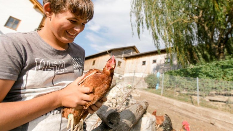 Urlaub am Zwergerlhof, &copy; schwarz-koenig.at