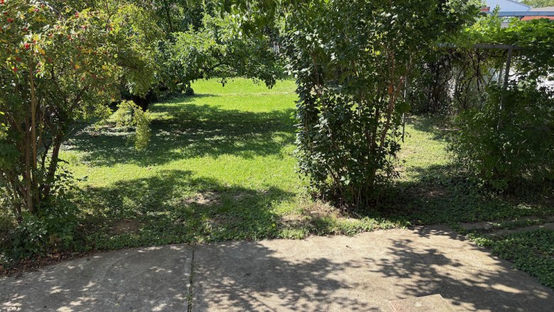 Ferienhaus Stixneusiedl, Garten, © Karoline Wolfger Garten mit Bäumen und Sträuchern, sonniger Tag.