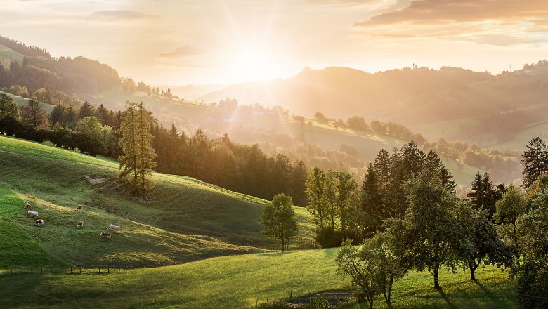Sonnenuntergang an der Moststra&szlig;e, &copy; schwarz-koenig.at