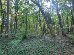 Flora und Fauna, &copy; Wienerwald