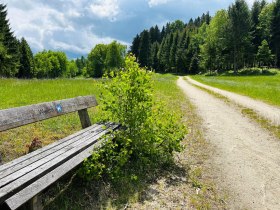 Weg bei Weitra, &copy; Dr. Markus Peham