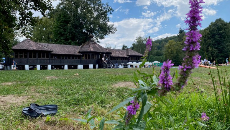 Ein traditionelles Holzgeb&auml;ude im Hintergrund mit lila Blumen im Vordergrund auf einer Wiese.