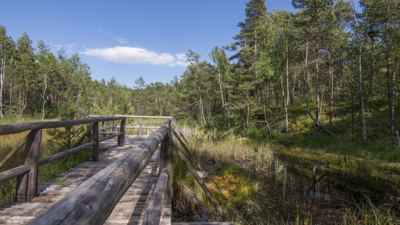 Holzsteg im Naturpark Hochmoor Schrems, umgeben von Bäumen und Moorlandschaft.