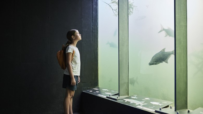 Mädchen vor Aquarium 