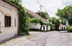 Tut Gut Route 1 Rohrendorf, © Wachau-Nibelungengau-Kremstal