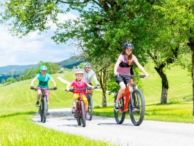 MTB_Familie_Trekking, &copy; Mostviertel