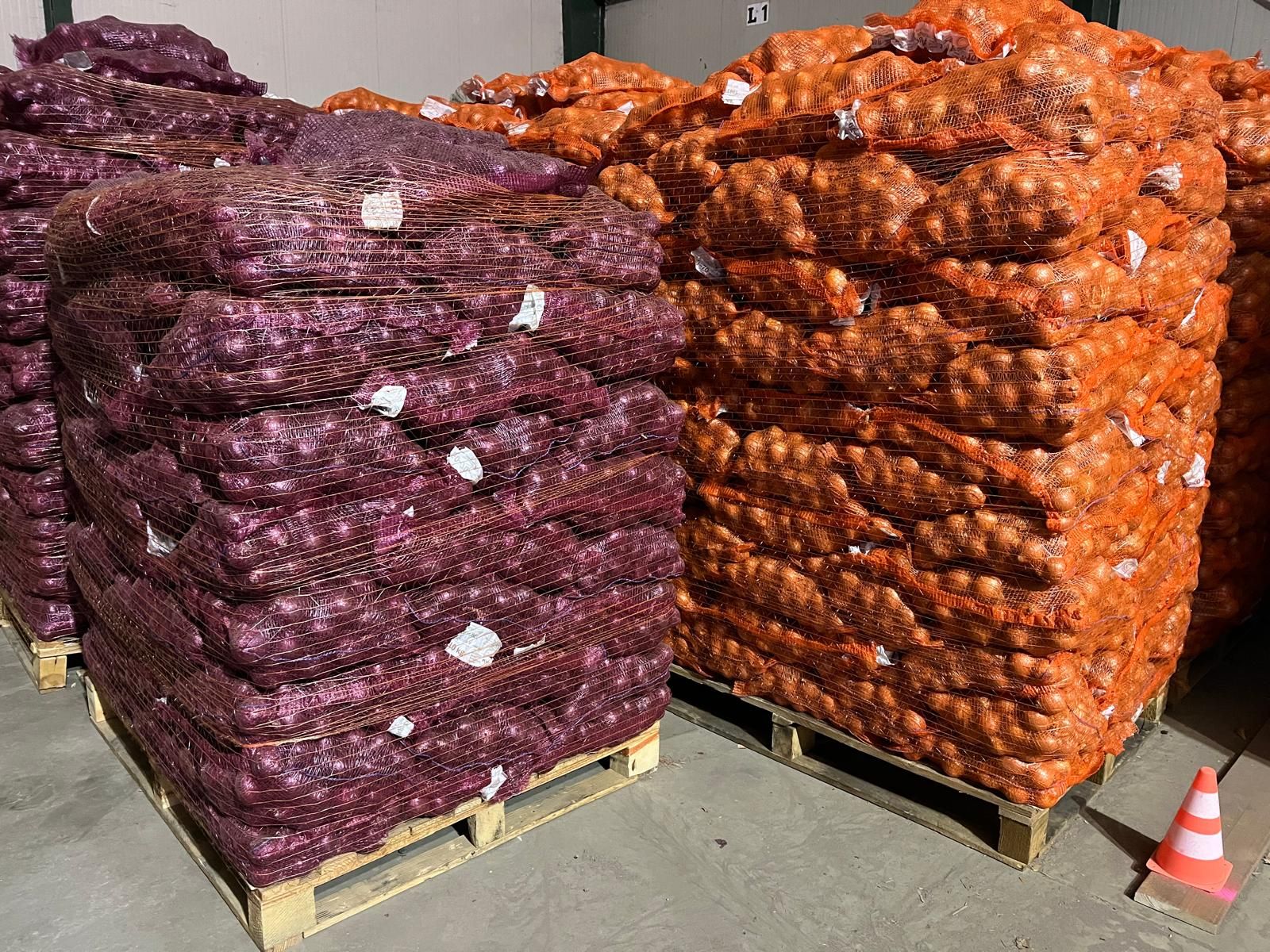 Gestapelte Säcke mit roten und braunen Zwiebeln auf Paletten in einem Lager.